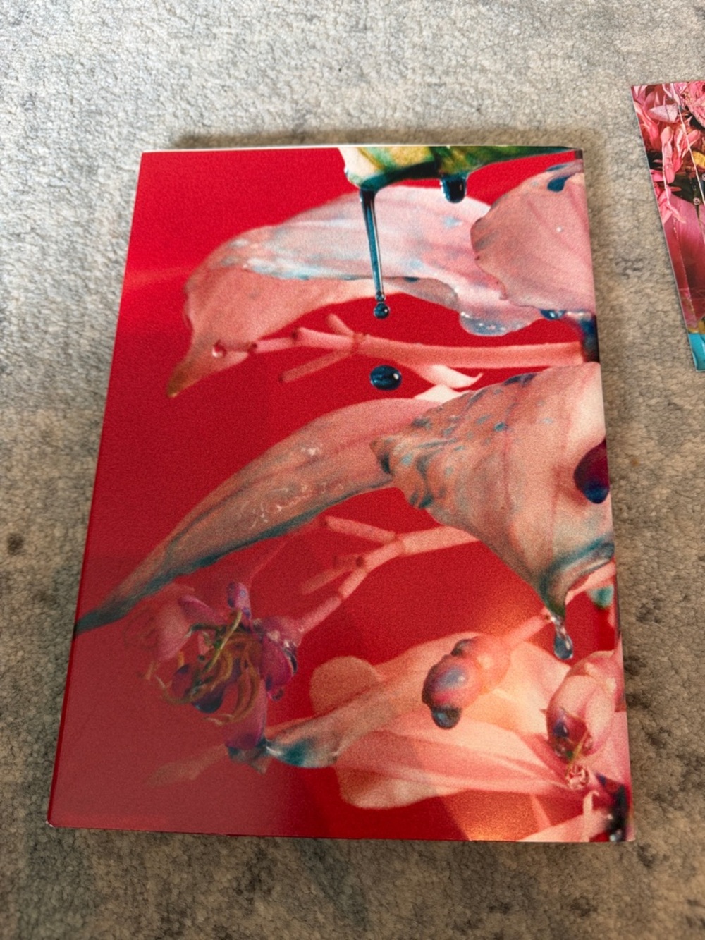 Loewe Magazine (Issue 10), Postcards and Ribbon - Picture 11 of 12